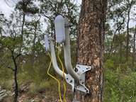 a white and yellow device attached to a tree